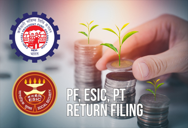PF, ESIC, PT Return Filing